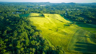 rocky-hill-landscape-2-d5635ab5.jpg